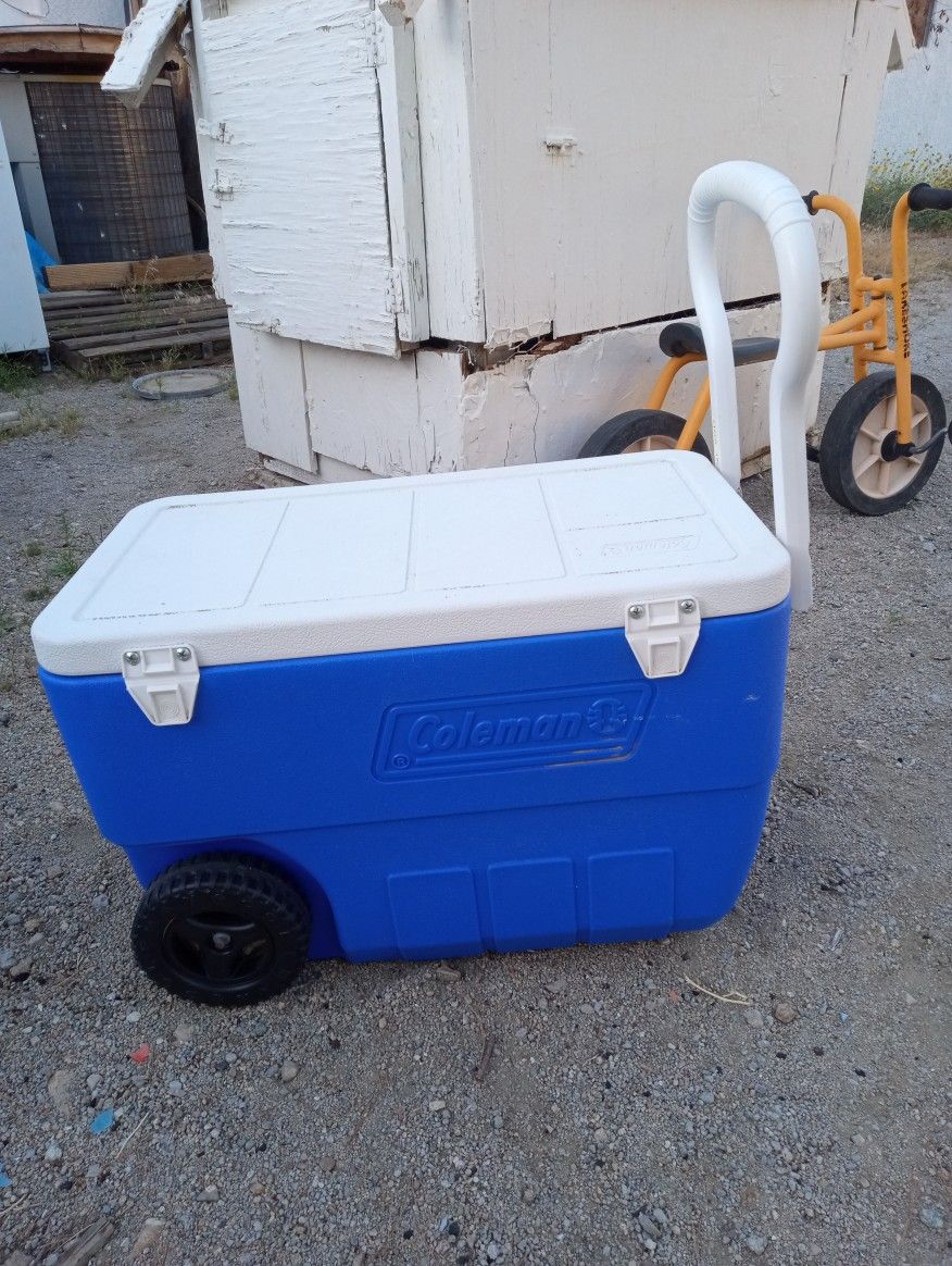 Cooler