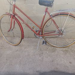 RALEIGH size 700 Speed 10 Frame 17