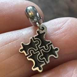 Stainless Steel charm
