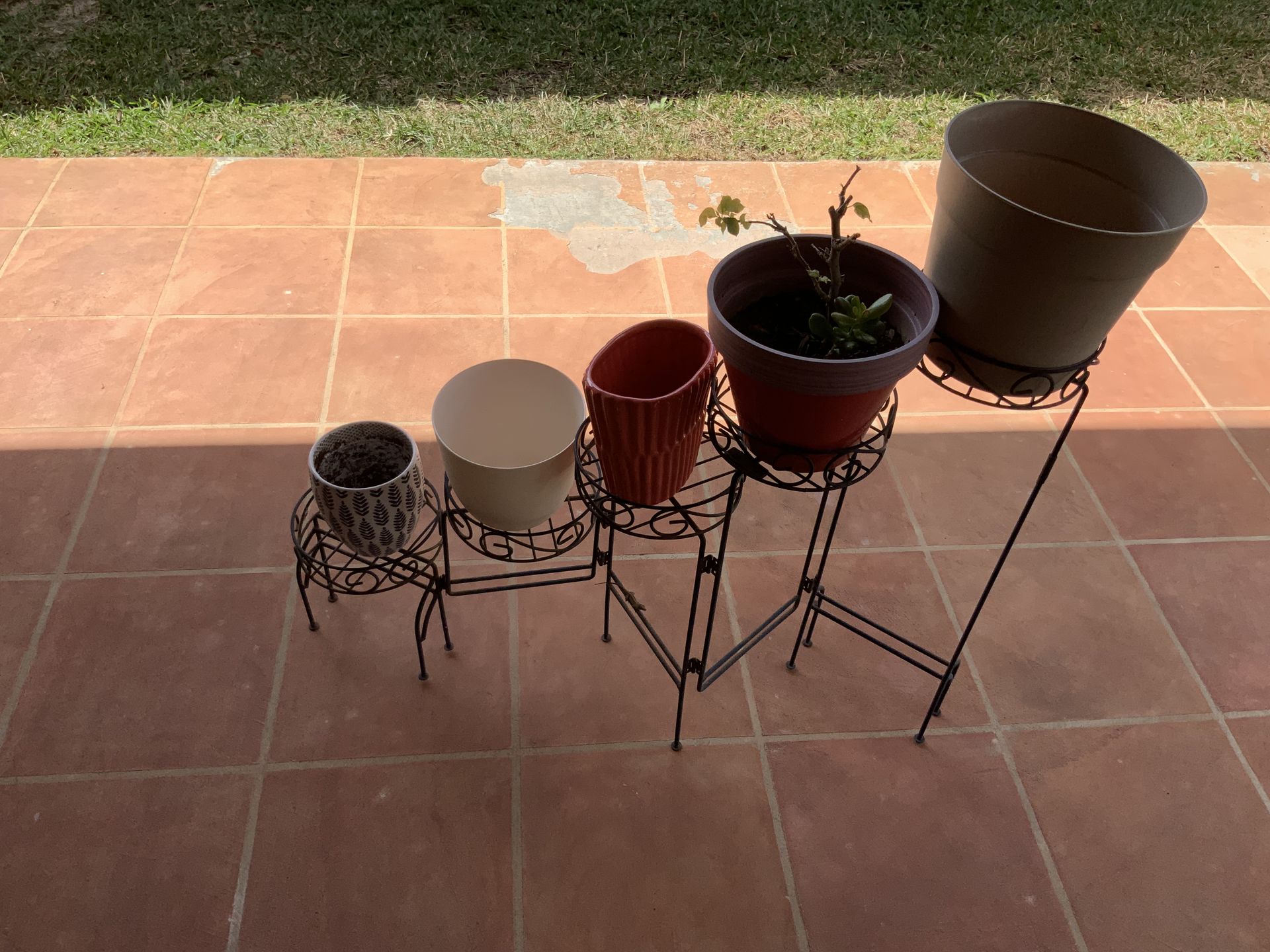 4 Tier Plant Stand with 4 Plastic and 2 Ceramic Pots (one with plants)