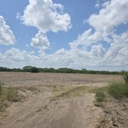 Dove Season Starts In Few Weeks GET Your Spot