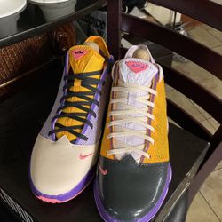 LEBRON XIX LOW