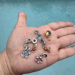 Pandora Charms 