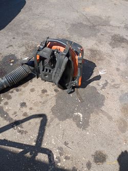 Echo blower 770
