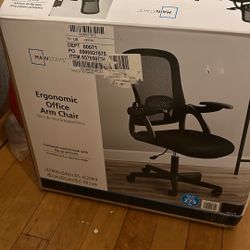 Ergonomic Office Chair