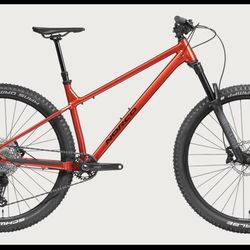 🚵‍♂️ Norco Torrent 29” Mountain Bike – Trail Ready 🔥