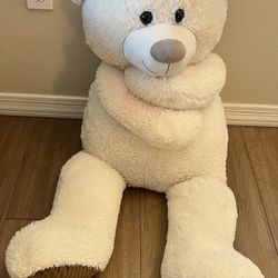 A Big Teddy Bear