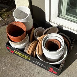 Potting Supplies Lot (29+ items) for Houseplants or Garden
