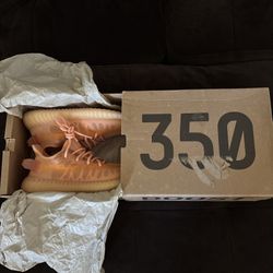 adidas Yeezy Boost 350 V2 Mono Clay