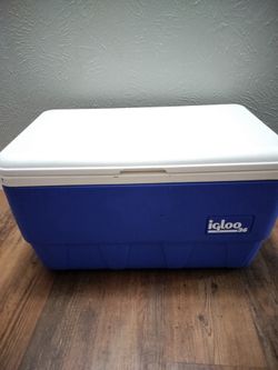 Igloo 36 qt cooler