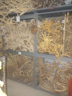 Aquarium Fish Tank Driftwood 