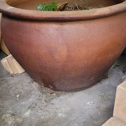 We Have This Pot For Plants And Flowers 