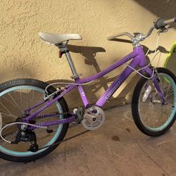 Guardian 20in Girls Bike 5speed