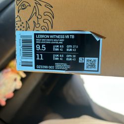 LeBron Witness VII TB