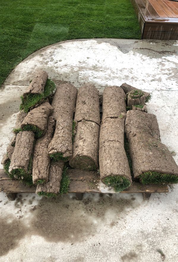 Cheap Fresh Rolls of Sod for Lawn or Project for Sale in Federal Way, WA OfferUp
