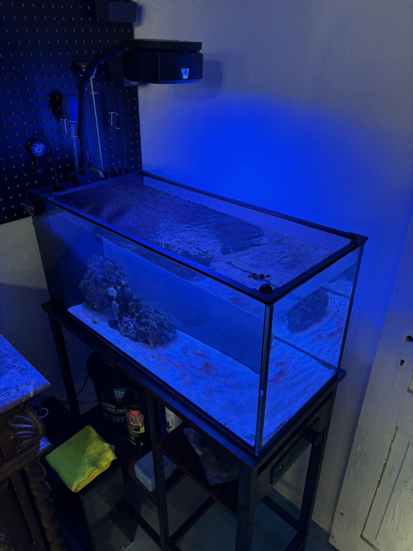 20 Gallon Innovative Marine