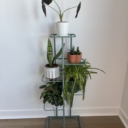 6 Tier Metal Plant Stand 