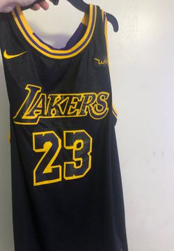Lebron Jersey for sale