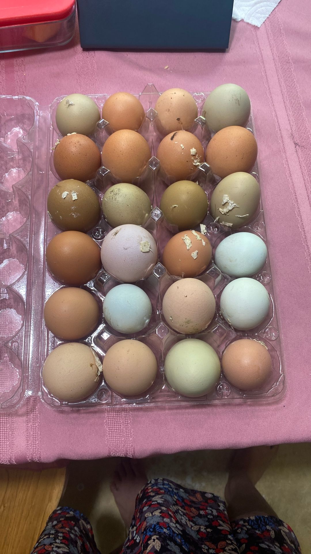 Fresh Free Range Chicken Eggs $7.50 A Dozen