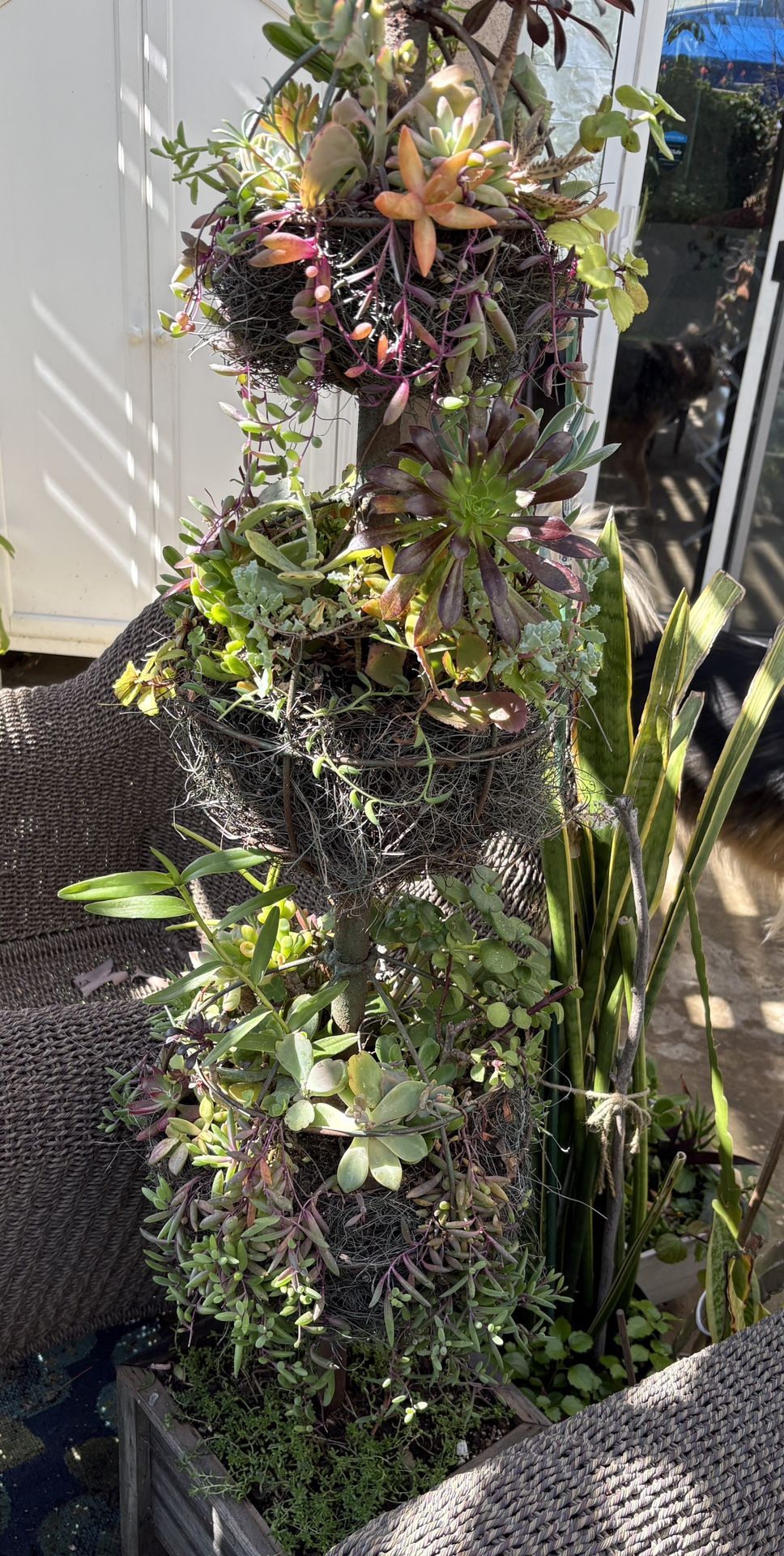 tall plant pots indoor Tall Taper Black Metal Planter Flower Plant Pot Indoor Outdoor Planters Steel Flower Pot Kozyard
