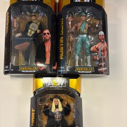AEW Series 16 Set