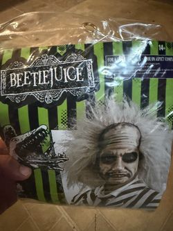 Beetle juice costume