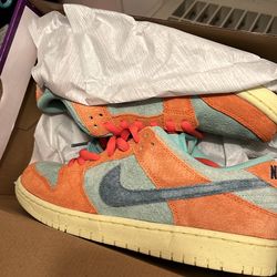 Men’s 9.5 sb dunks low pro