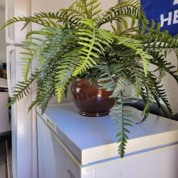 Home Decoration 