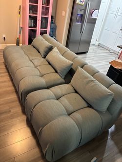 Anthropology couch