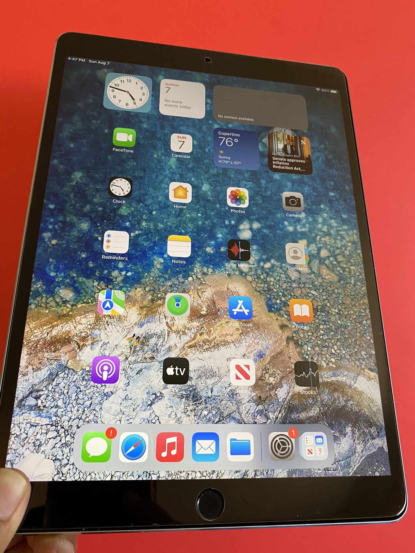256GB Apple IPad Pro 10.5” (Retina /latest iOS 15/ Touch ID) with