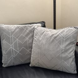 light grey 2 pillows for couch $5 