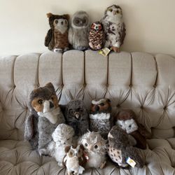 Owls/stuffed animals