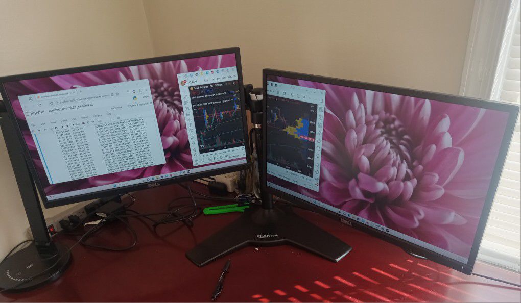 Two Monitors and a dual Stand 