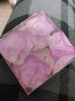 Pink rose petal coaster