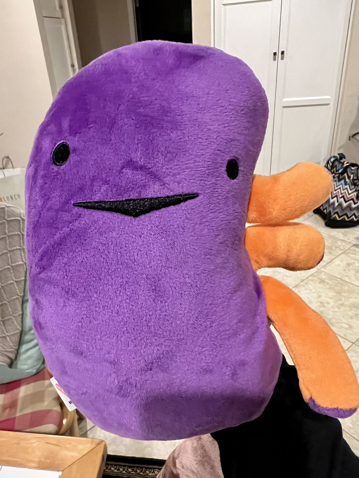 Kidney Plush Toy