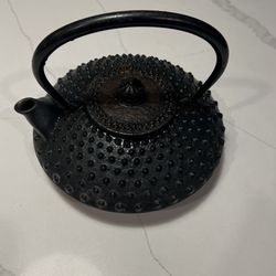 Genuine Cast Iron Chinese Tea Pot