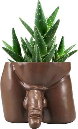 Body Vase Christmas Valentine's Day Gift Unique Planter