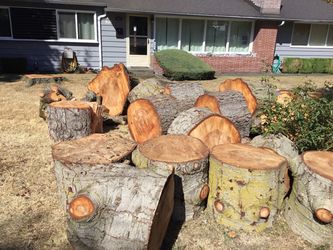 Free fire wood
