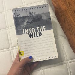 Into The Wild 