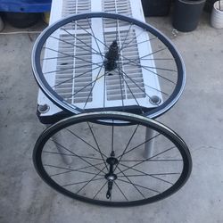 Bike Tires
