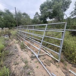 Horses Corral 