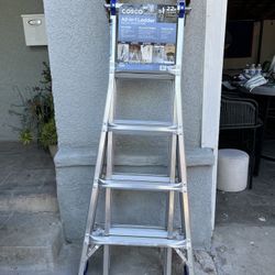 Cosco Ladder