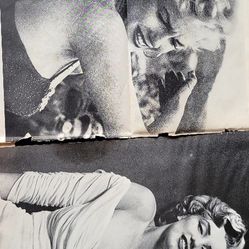 Marilyn Monroe Pictures 