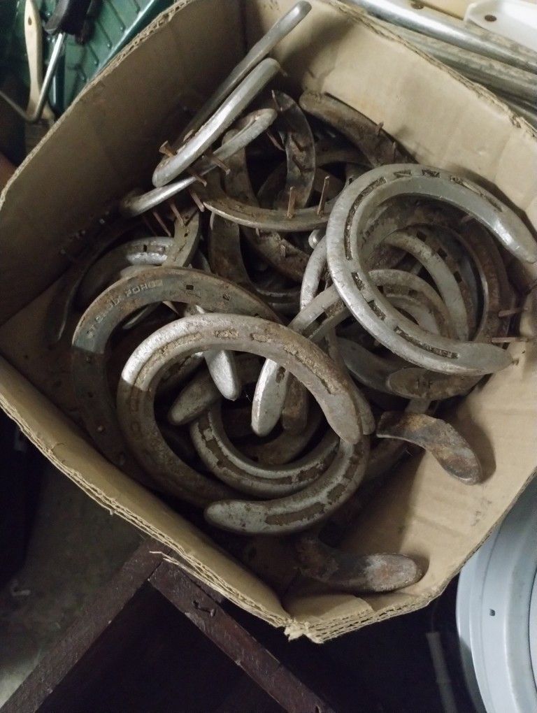 Box Of Used Horse Shoes 