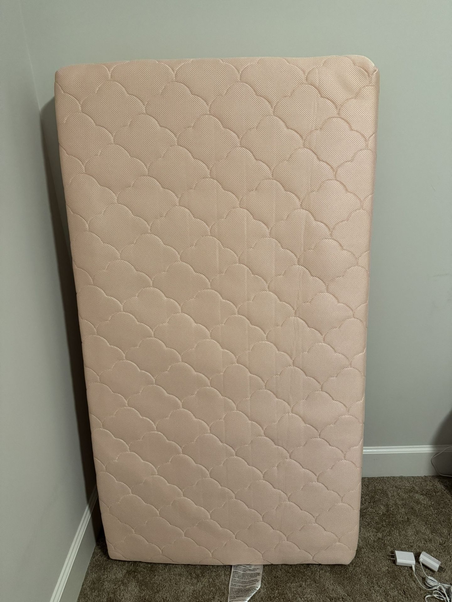 Delta Childrens Crib With Brand New Newton Mattress