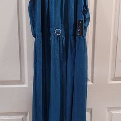 Plus size Blue dress