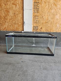 20 gallon breeder tank