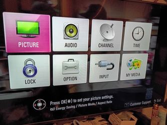 LG 55 in Flat Screen Tv
