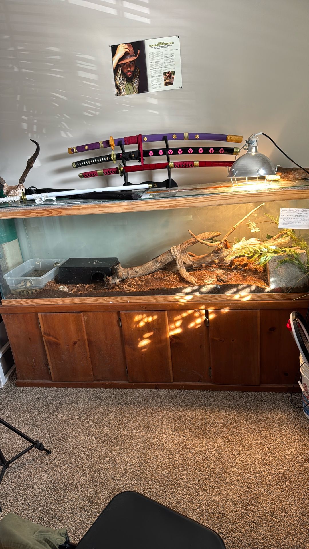 6ft x 18in x 23.5in Glass Fish Tank + Lid And Stand. 130 Gallons