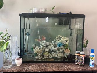 FISH TANK